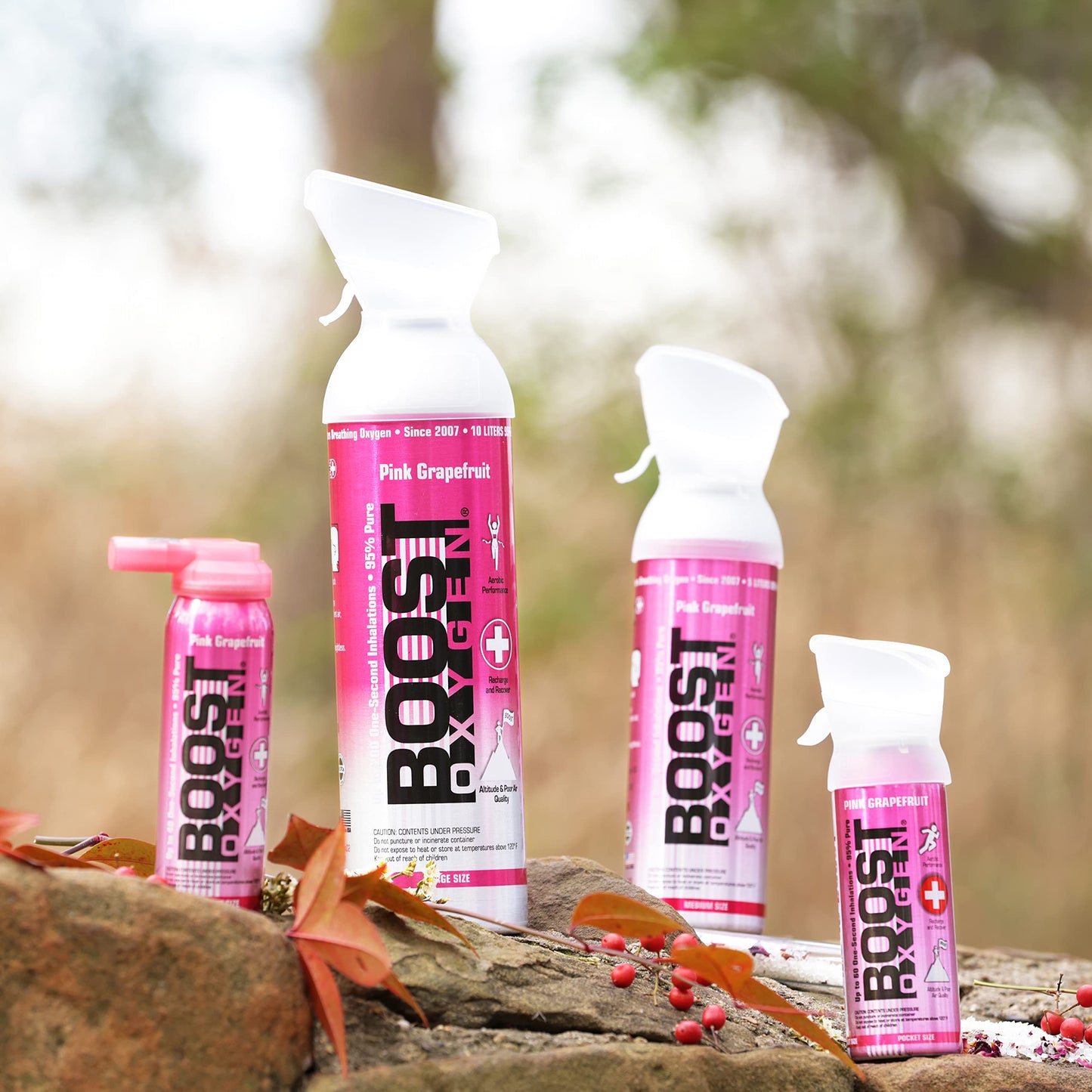 Boost Oxygen Canned 10 Liter Natural Flavored Oxygen Boost Portable Canister Bottle for High Altitudes, Athletes, and More, Green/Silver (5 Pack)