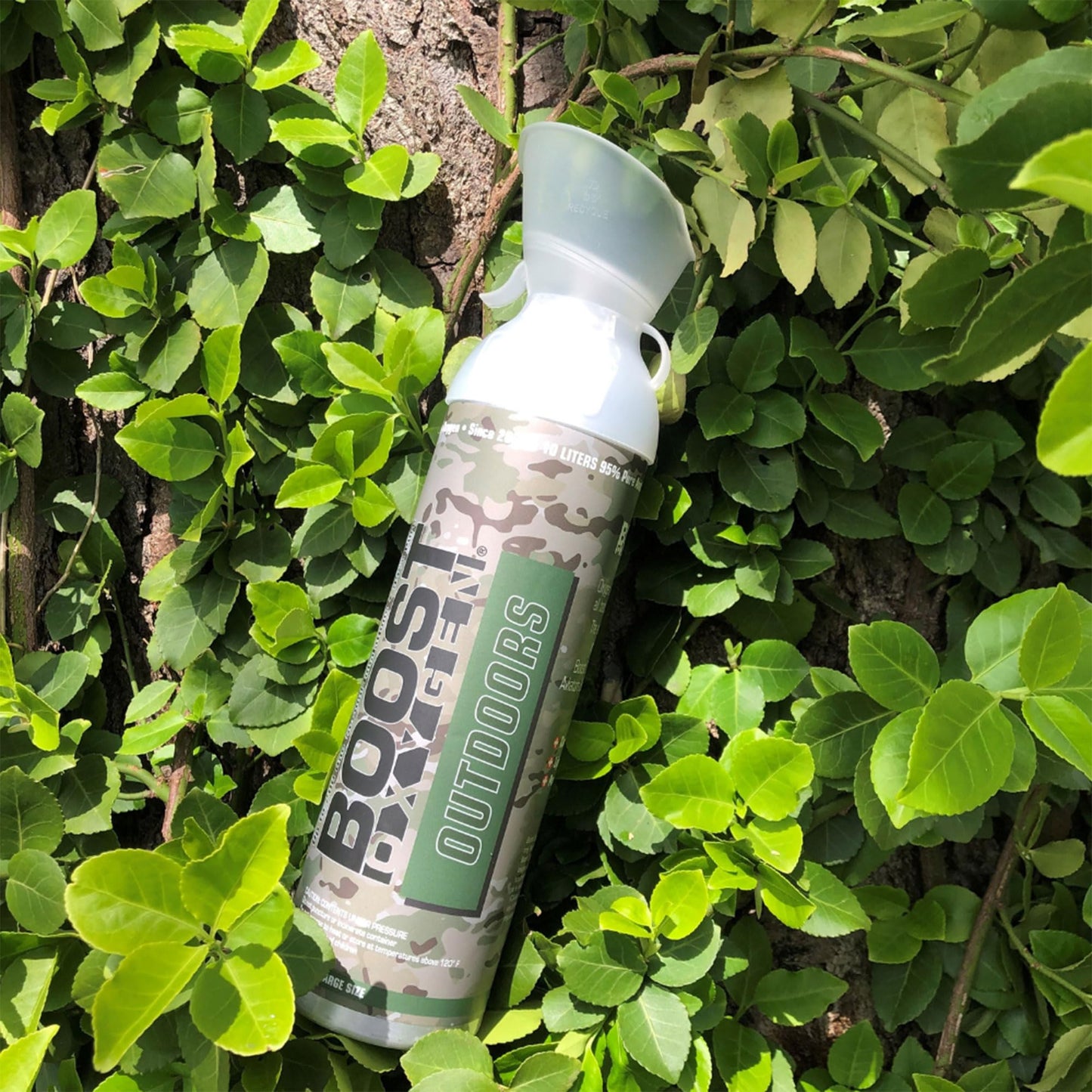 Boost Oxygen Canned 10 Liter Natural Flavored Oxygen Boost Portable Canister Bottle for High Altitudes, Athletes, and More, Green/Silver (5 Pack)