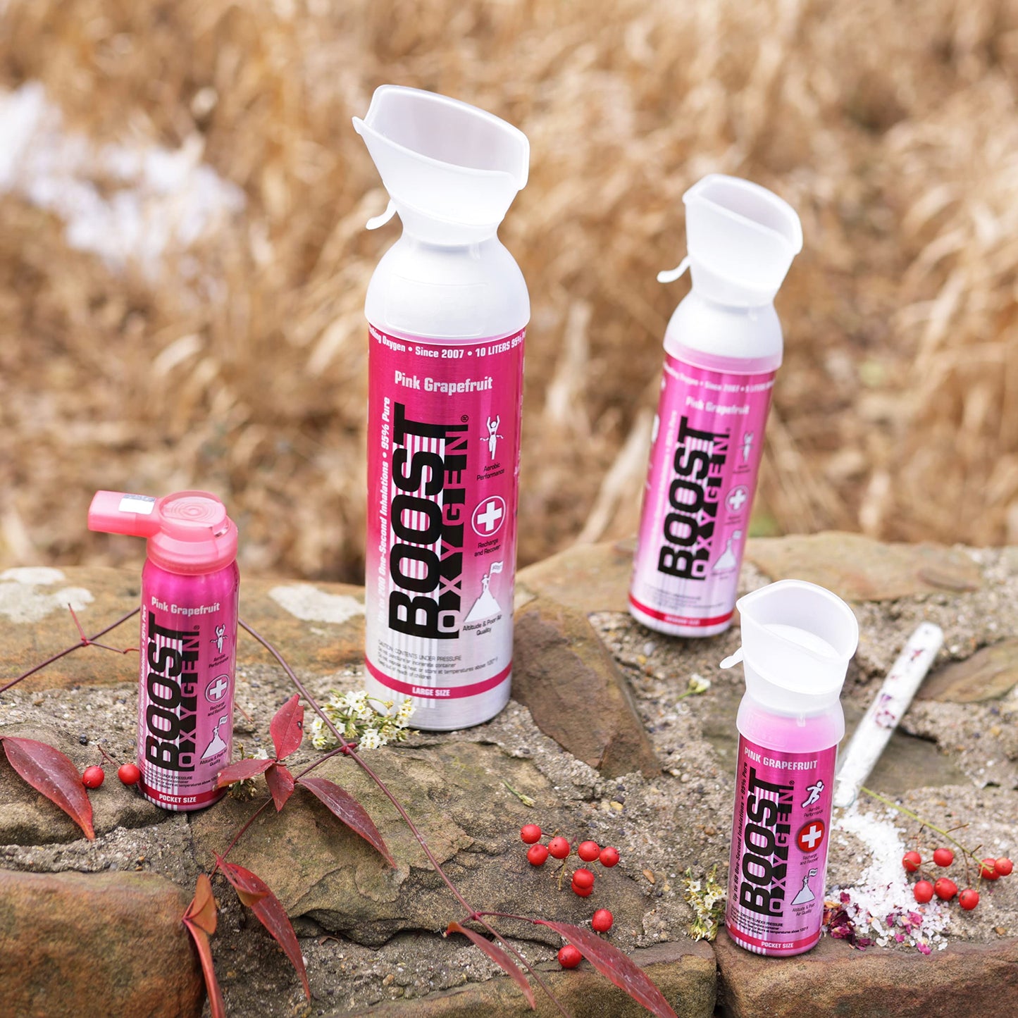 Boost Oxygen Canned Oxygen for Breathing for Home Use, Exercise, or Altitude Sickness, Includes Sealed Cap & Mask, 5L Canister, Multicolor, Pack of 4